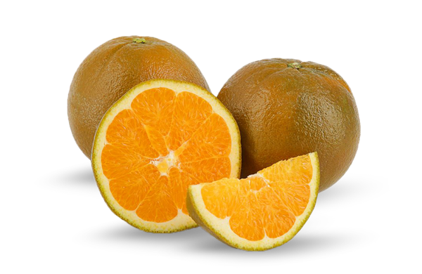 Dolci Orange