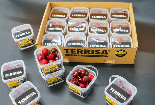 TERRISA Premier U.S.A. Cherries