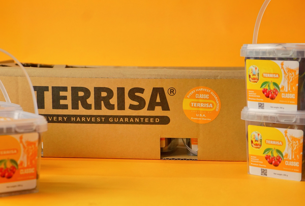 TERRISA Classic U.S.A. Cherries