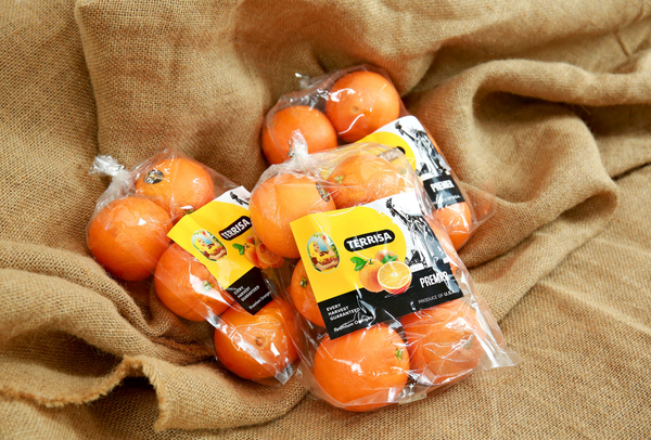 TERRISA Premier U.S.A. Oranges