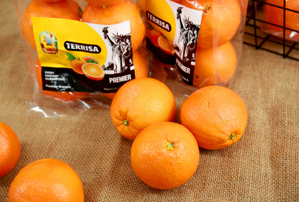 TERRISA Premier U.S.A. Oranges