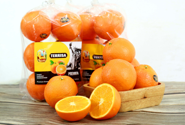 TERRISA Premier U.S.A. Oranges