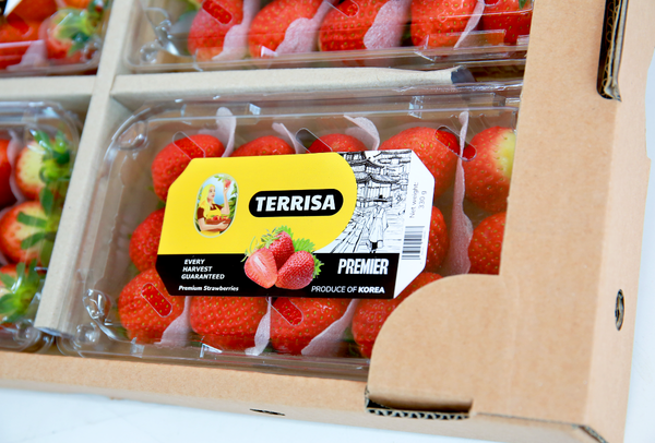 TERRISA Premier Korean Strawberries