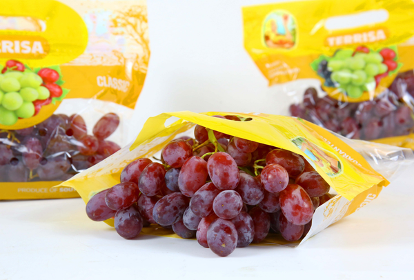 TERRISA Classic South African Red Grapes