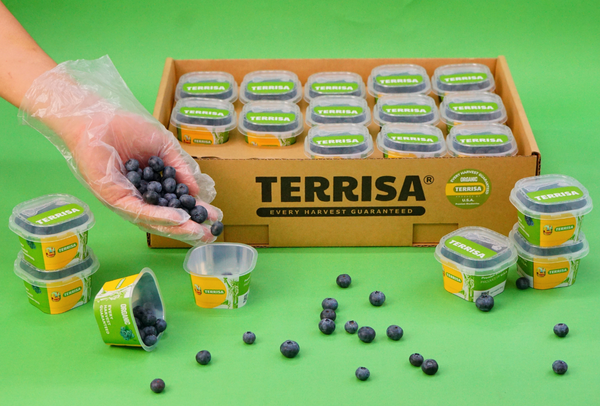 TERRISA Organic U.S.A. Blueberries