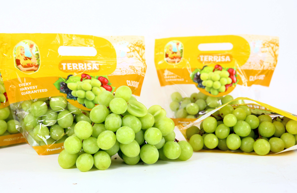 TERRISA Clasic South African Green Grapes