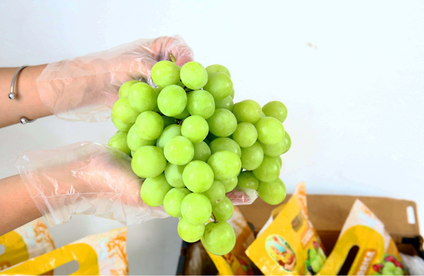 TERRISA Clasic South African Green Grapes