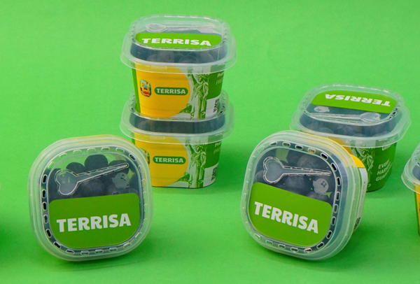 TERRISA Organic U.S.A. Blueberries