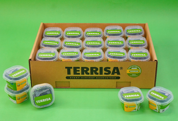 TERRISA Organic U.S.A. Blueberries