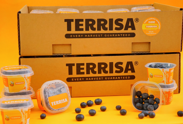 TERRISA Classic U.S.A. Blueberries
