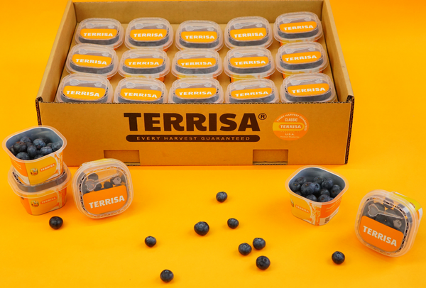 TERRISA Classic U.S.A. Blueberries
