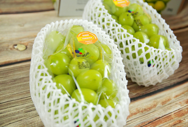 TERRISA Classic Shine Muscat Korean Grapes