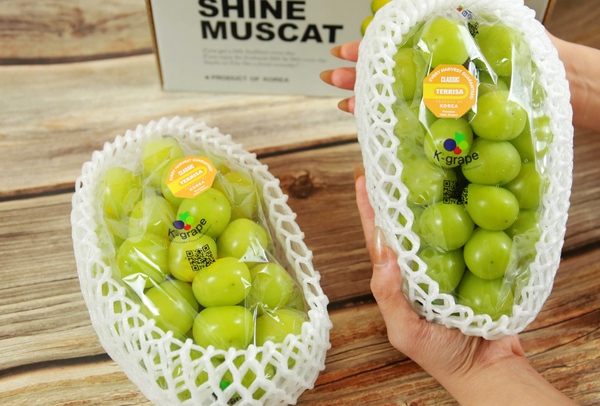 TERRISA Classic Shine Muscat Korean Grapes