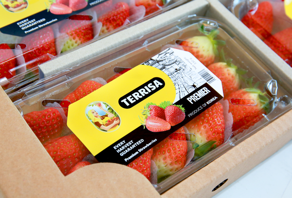 TERRISA Premier Korean Strawberries