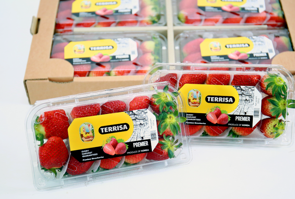 TERRISA Premier Korean Strawberries