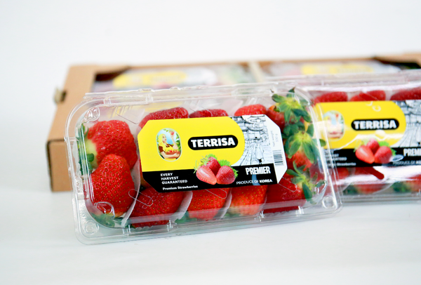 TERRISA Premier Korean Strawberries