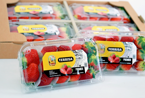 TERRISA Premier Korean Strawberries