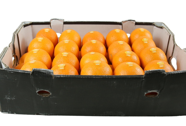 TERRISA Classic Australian Oranges