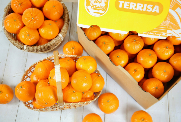 TERRISA Classic Australian Mandarins