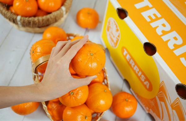 TERRISA Classic Australian Mandarins