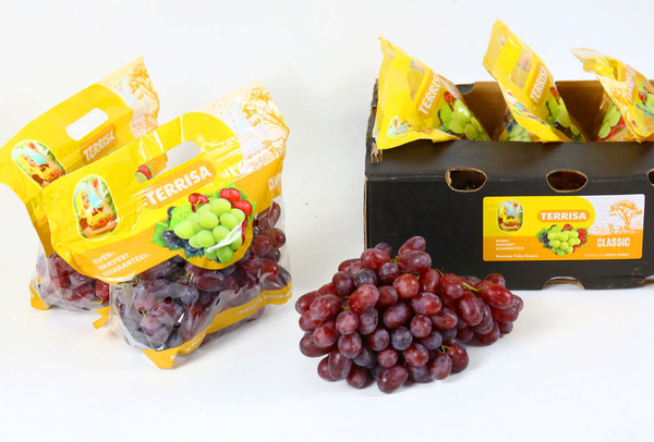 TERRISA Classic South African Red Grapes