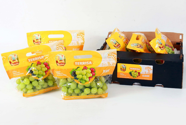 TERRISA Clasic South African Green Grapes