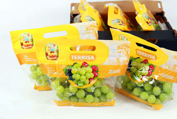 TERRISA Clasic South African Green Grapes