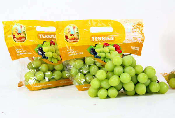 TERRISA Clasic South African Green Grapes
