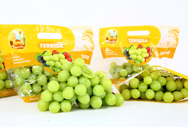 TERRISA Clasic South African Green Grapes