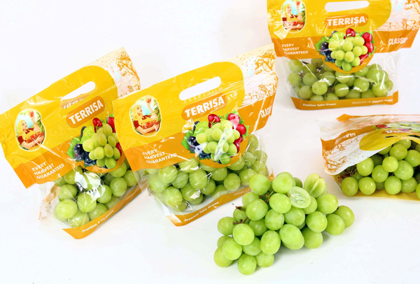 TERRISA Clasic South African Green Grapes