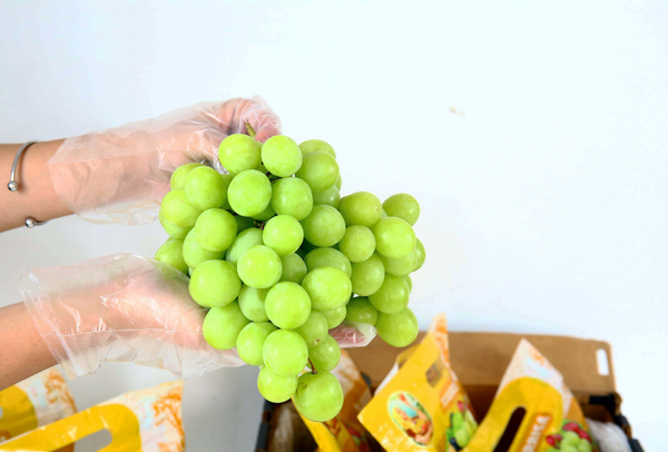 TERRISA Clasic South African Green Grapes