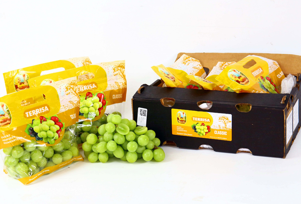 TERRISA Clasic South African Green Grapes