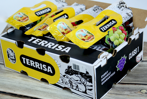 TERRISA Premier South African Green Grapes