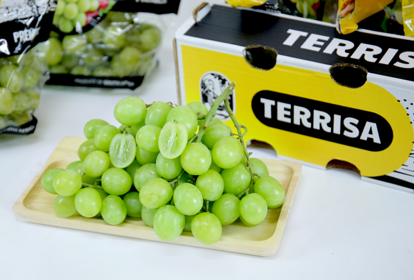 TERRISA Premier South African Green Grapes