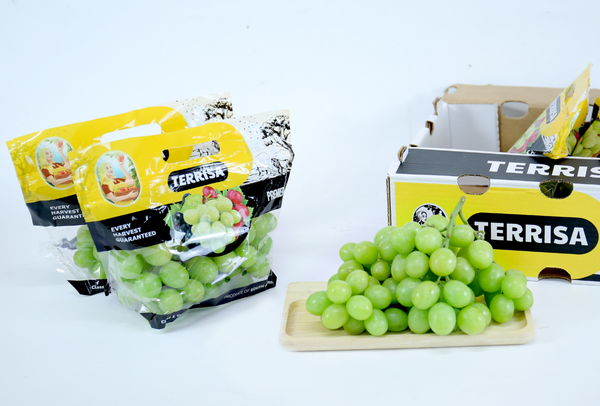 TERRISA Premier South African Green Grapes