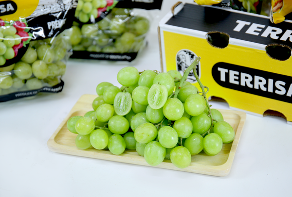 TERRISA Premier South African Green Grapes