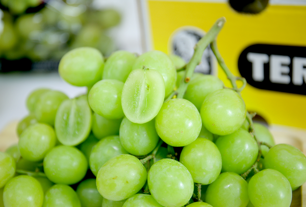 TERRISA Premier South African Green Grapes