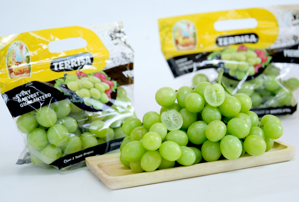 TERRISA Premier South African Green Grapes