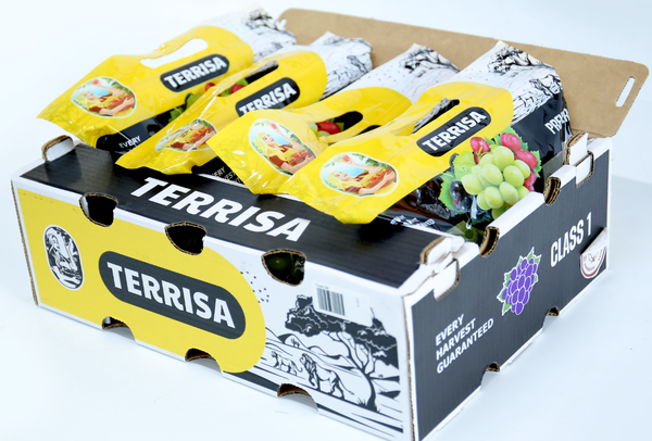 TERRISA Premier South African Green Grapes