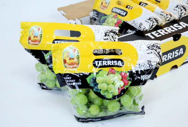 TERRISA Premier South African Green Grapes