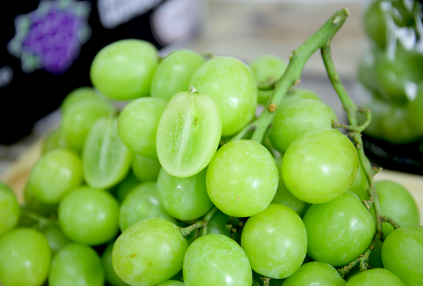 TERRISA Premier South African Green Grapes