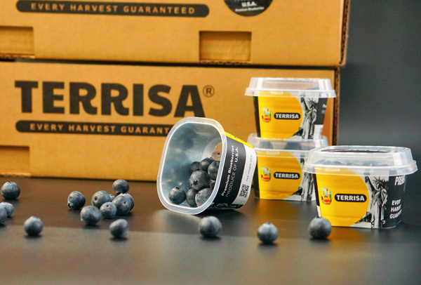 TERRISA Premier U.S.A. Cherries