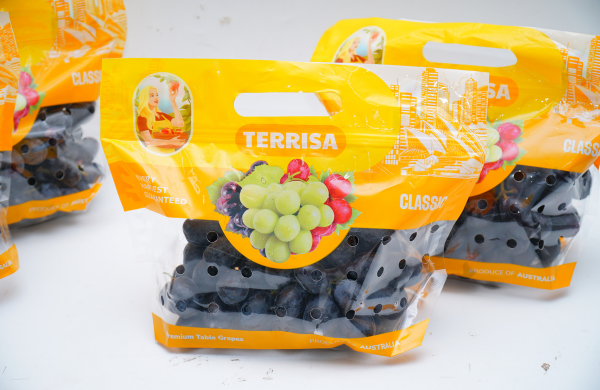 Nho đen Úc TERRISA Classic 