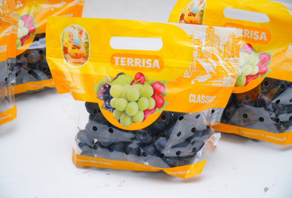 Nho đen Úc TERRISA Classic 