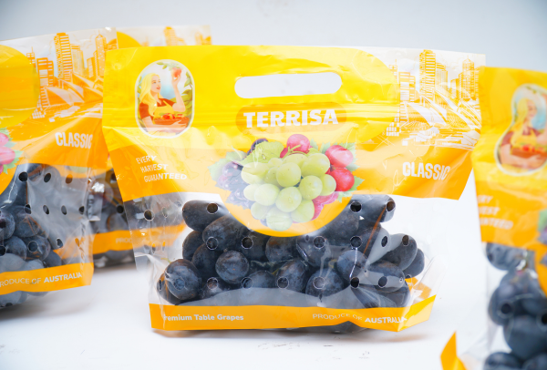 Nho đen Úc TERRISA Classic 