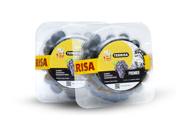 Nho đen Nam Phi TERRISA Premier 